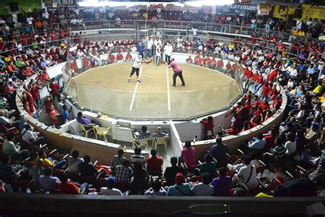 lipa cockpit arena photos|Bakbakan Derby Arena Cockpits in the Philippines: A Cultural Phenome.